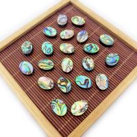 Abalone Shell Beads Oval DIY 6-18x8-25mm Sold By PC