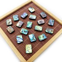 Abalone Shell Beads Rectangle DIY 6-18x8-25mm Sold By PC
