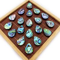 Abalone Shell Beads Teardrop DIY Sold By PC