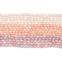 Perles d'eau douce de culture de riz, perle d'eau douce cultivée, DIY, plus de couleurs à choisir, 4-5mm, Vendu par 14.96 pouce brin