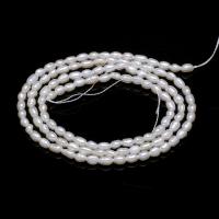 Rice ferskvandskulturperle Beads, Ferskvandsperle, du kan DIY, hvid, 2-2.5mm, Solgt Per 14.96 inch Strand
