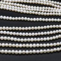 Perles de nacre rondes de culture d'eau douce, perle d'eau douce cultivée, DIY, blanc, 5-5.5mm, Vendu par 14.96 pouce brin