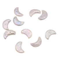 Cultured No Hole Freshwater Pearl Beads, Moon, white, 10x16mm, Sold By PC