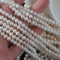 Runde ferskvandskulturperle Beads, Ferskvandsperle, du kan DIY, hvid, 4.5-5mm, Solgt Per 15.35 inch Strand