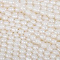 Rice Tenyésztett édesvízi gyöngy Gyöngyök, Édesvízi gyöngy, DIY, fehér, 7-8mm, Naponta eladott 14.96 inch Strand