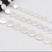Shell Pearl Beads, Flat Round, DIY & different size for choice, white, 8-20mm, Sold Per 14.96 Inch Strand