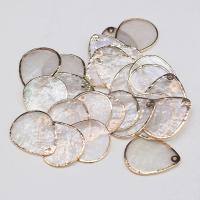 Shell Pendants Freshwater Shell with Brass Teardrop gold color plated DIY white  Sold By PC
