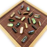 Abalone -Shell-Beads, conchiglia Abalone, Irregolare, DIY, 8x18mm, Venduto da PC