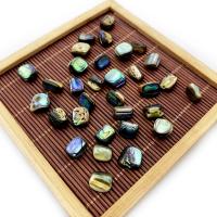 Perles coquillage d'ormeau, coquille d'ormeau, Irrégulière, DIY, 10mm, Vendu par PC