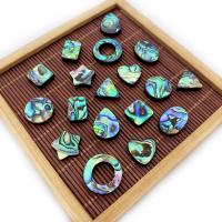 Abalone Shell Beads 12-18mm Sold By PC