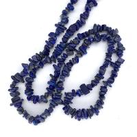 Chips de pierres précieuses, Lapis lazuli, poli, bleu, 5x8mm, Vendu par Environ 33.46 pouce brin