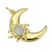 Bijoux pendentifs en laiton, avec coquille, lune, Placage de couleur d'or, 21x19x3mm, Trou:Environ 3mm, Vendu par PC