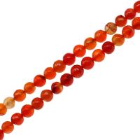 Prirodni Red ahat perle, Red Agate, Krug, možete DIY & faceted, crven, 6x6x6mm, Prodano Per 38 cm Strand