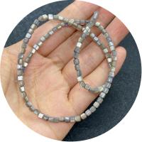 Perles de coquille colore naturelle, Carré, DIY, plus de couleurs à choisir, 3.50mm, Vendu par 14.96 pouce brin