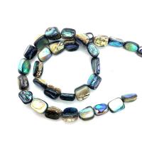 Abalone Shell Beads, irregular, DIY & different size for choice, 8x10-18mm, Sold By PC
