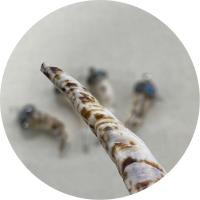 Μενταγιόν Shell, Κέλυφος, με Συνθετικό μπλε τυρκουάζ & πηλό rhinestone pave & Ορείχαλκος, Πιπέρι, χρώμα επάργυρα, DIY, 16x52-80mm, Sold Με PC