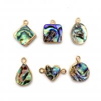 Natural Abalone Shell Pendants, with Brass, gold color plated, different styles for choice, 10x18-19mm, Sold By PC