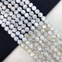 Perle, flache Runde, DIY, weiß, 10mm, verkauft per ca. 15 ZollInch Strang