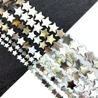 Black Shell Perler, Stjerne, du kan DIY & forskellig størrelse for valg, sort, Solgt Per Ca. 15 inch Strand