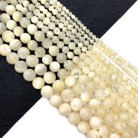 Natürliche Süßwasser Muschel Perlen, rund, DIY & verschiedene Größen vorhanden, weiß, verkauft per ca. 15 ZollInch Strang
