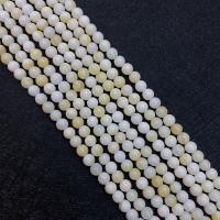 Natural Freshwater Shell Beads Round DIY Sold Per Approx 15 Inch Strand