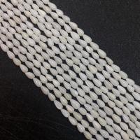 Trochus Shell Beads Teardrop polished DIY Sold Per Approx 15 Inch Strand