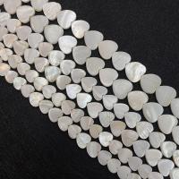 Trochus Shell Beads Heart DIY white Sold Per Approx 15 Inch Strand