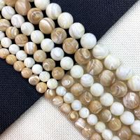 Trochus Shell Beads Round DIY Sold Per Approx 15 Inch Strand