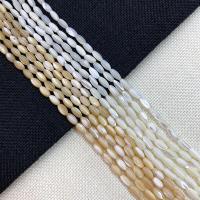 Trochus Shell Beads Rice DIY Sold Per Approx 15 Inch Strand