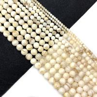 Natural Freshwater Shell Beads Round DIY Sold Per Approx 15 Inch Strand