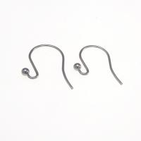 Stainless Steel Hook Earwire 316L Stainless Steel original color 19mm Sold By Pair