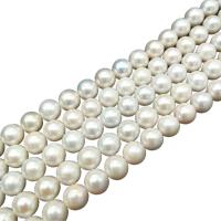 Perlas Redondas Freshwater, Perlas cultivadas de agua dulce, Esférico, Bricolaje, Blanco, 10-12mm, Vendido para aproximado 15 Inch Sarta
