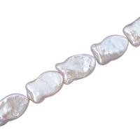 Keshi Cultured Freshwater Pearl Beads, DIY, white, 11x19mm, Sold Per Approx 15 Inch Strand