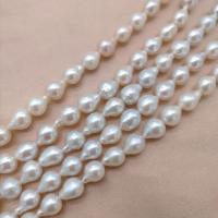 Barocco coltivate in acqua dolce Perla, perla d'acquadolce coltivata naturalmente, Lacrima, DIY, bianco, 8-9mm, Venduto per Appross. 15 pollice filo