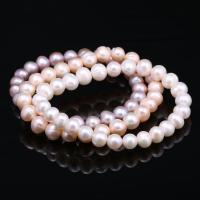 Freshwater Cultured Pearl Bracelet, Freshwater Pearl, for woman, more colors for choice, 7-8mm, Approx 26PCs/Strand, Sold By Strand