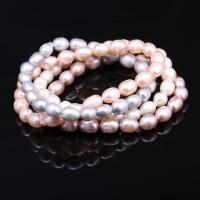 Freshwater Cultured Pearl Bracelet, Freshwater Pearl, for woman, more colors for choice, 7-8mm, Approx 24PCs/Strand, Sold By Strand