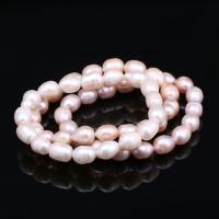 Freshwater Cultured Pearl Bracelet, Freshwater Pearl, for woman, more colors for choice, 8-9mm, Approx 18PCs/Strand, Sold By Strand