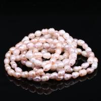 Braccialetto perla coltivata d'acqua dolce, perla d'acquadolce coltivata naturalmente, per la donna, nessuno, 7-8mm, Appross. 20PC/filo, Venduto da filo