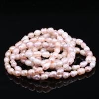 Freshwater Cultured Pearl Bracelet Freshwater Pearl for woman 7-8mm Approx Sold By Strand