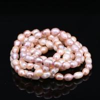 Freshwater Cultured Pearl Bracelet, Freshwater Pearl, for woman, more colors for choice, 7-8mm, Approx 18PCs/Strand, Sold By Strand