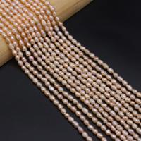 Rice ferskvandskulturperle Beads, Ferskvandsperle, du kan DIY, appelsin, 4-5mm, Solgt Per Ca. 14.17 inch Strand