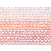 Ryżowe koraliki z pereł hodowlanych słodkowodnych, Perła naturalna słodkowodna, DIY, dostępnych więcej kolorów, 4-5mm, około 54komputery/Strand, sprzedane przez Strand