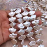 Koraliki Keishi z hodowlanych pereł słodkowodnych, Perła, Sztabka, DIY, biały, 12x16mm, sprzedawane na około 15 cal Strand