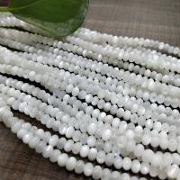 Perles en coquillage blanc naturel, coquille blanche, abaque, poli, DIY, blanc, 2x4mm, Vendu par 14.96 pouce brin