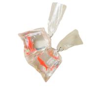 Mobile Kit bricolage, résine, avec plastique, poisson rouge, DIY, orange rougeâtre, 22x22mm, Environ 100PC/sac, Vendu par sac