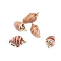 Natural Trumpet Shell Pendants, with Brass, gold color plated, Unisex, more colors for choice, 20-40mm, Approx 100PCs/Bag, Sold By Bag
