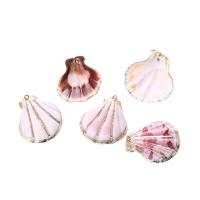 Shell Pendants, with Brass, gold color plated, Unisex, more colors for choice, 20-50mm, Approx 100PCs/Bag, Sold By Bag