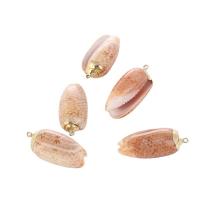 Natural Trumpet Shell Pendants, with Brass, gold color plated, Unisex, more colors for choice, 20-50mm, Approx 100PCs/Bag, Sold By Bag