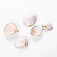 Shell Pendants, with Brass, gold color plated, Unisex, more colors for choice, 20-50mm, Approx 100PCs/Bag, Sold By Bag