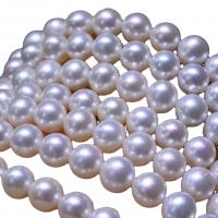 Perlas Redondas Freshwater, Perlas cultivadas de agua dulce, Esférico, Bricolaje, Blanco, 8-9mm, Vendido para 14.96 Inch Sarta